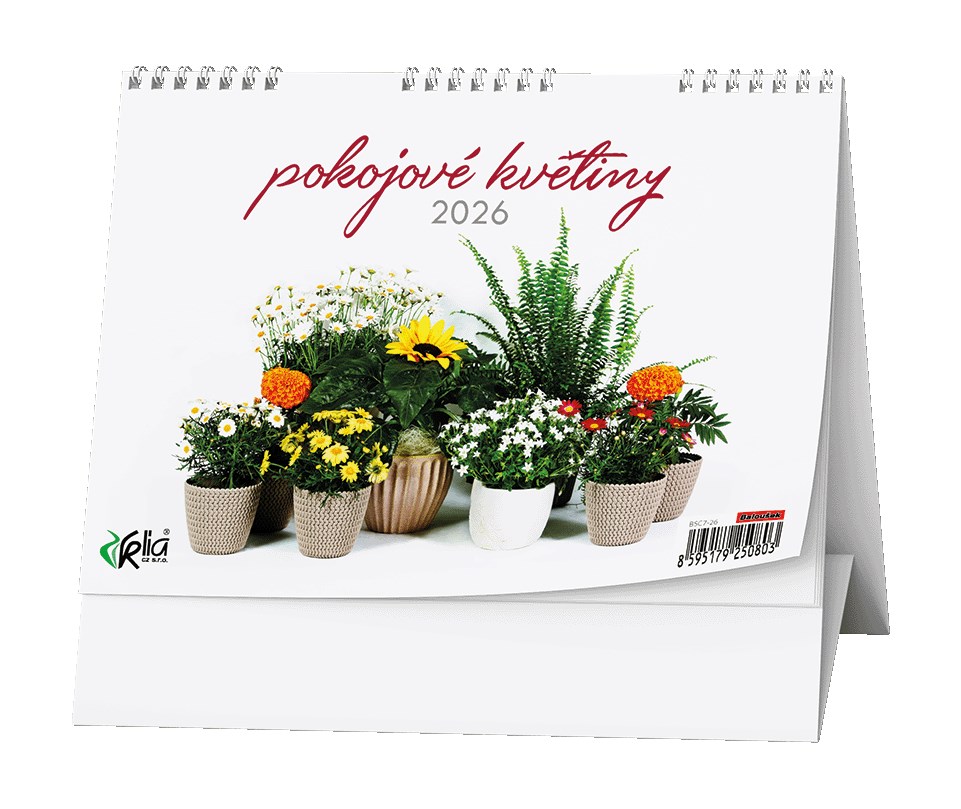 *B26  BSC7-26  Pokojové květiny