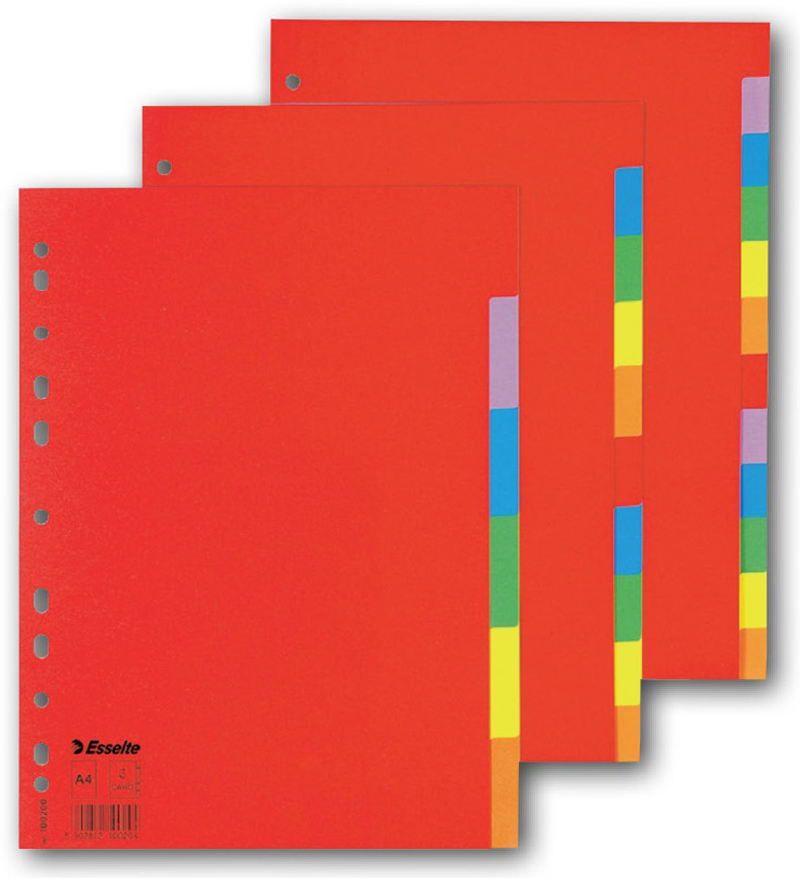 ESSELTE 100202 karton. rozlišovač Economy 12 listů