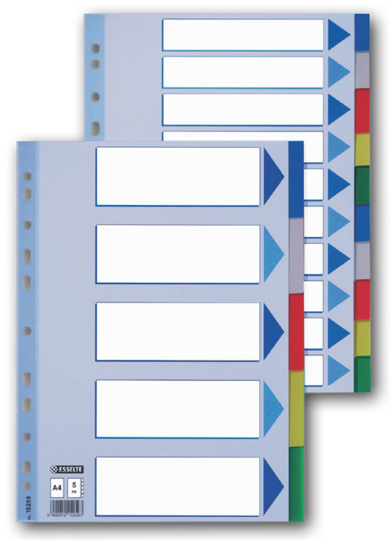 ESSELTE  15261 plast.rozlišovač A4 10 listů
