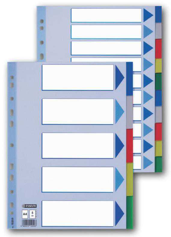 ESSELTE  15262 plast.rozlišovač A4 12 listů