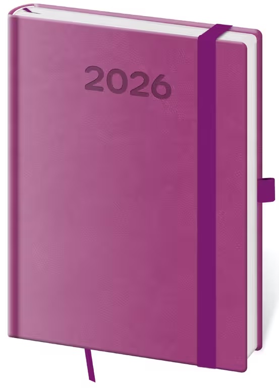 *H26  DPP432-12-26   Diář denní B6 Print Pop - fialová , 120x165