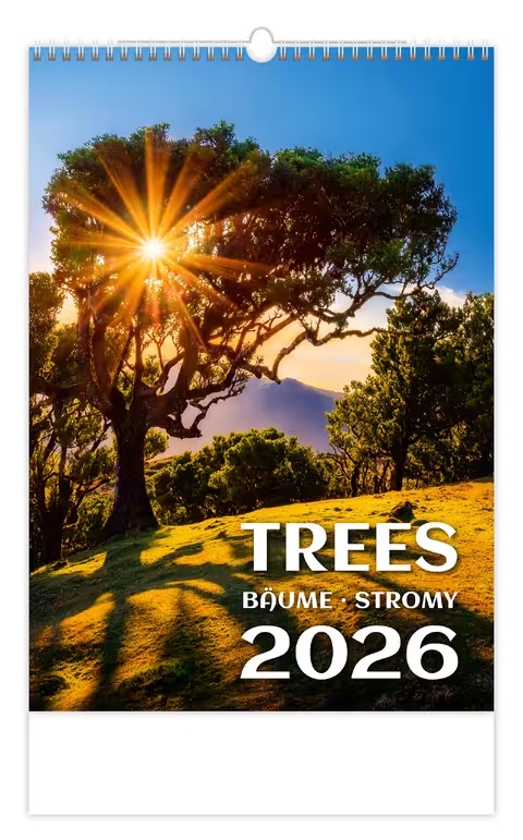 *H26  N125-26  nástěnný kalendář  Trees/Bäume/Stromy , 315x450(70)