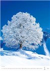 nástěnný kalendář  Trees/Bäume/Stromy