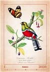   nástěnný kalendář  Aviarium   NEW