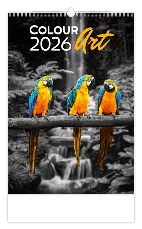 *H26  N148-26  nástěnný kalendář  Colour Art  , 315x450(70)