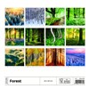 nástěnný kalendář  Forest/Wald/Les