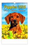 *H26  N181-26  nástěnný kalendář  Puppies/Welpen/Štěňátka/Šteniatka , 240x330