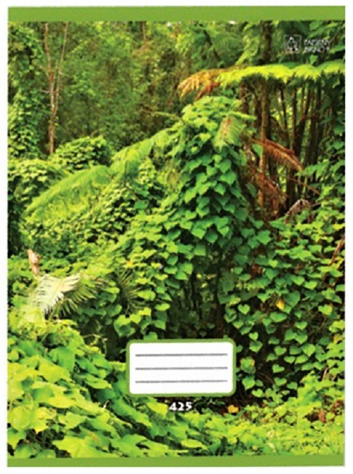 Sešit 425 bezdřevý A4 20 listů čtvereček